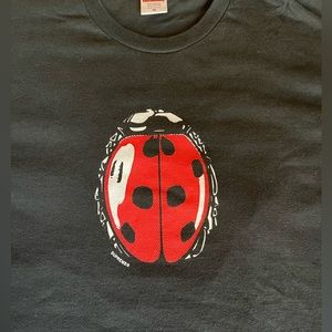 Supreme Ladybug Tee SS18 Brand New